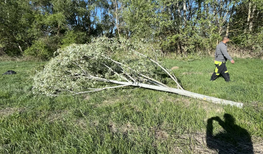 Stavanie Mája 30.4.2026 