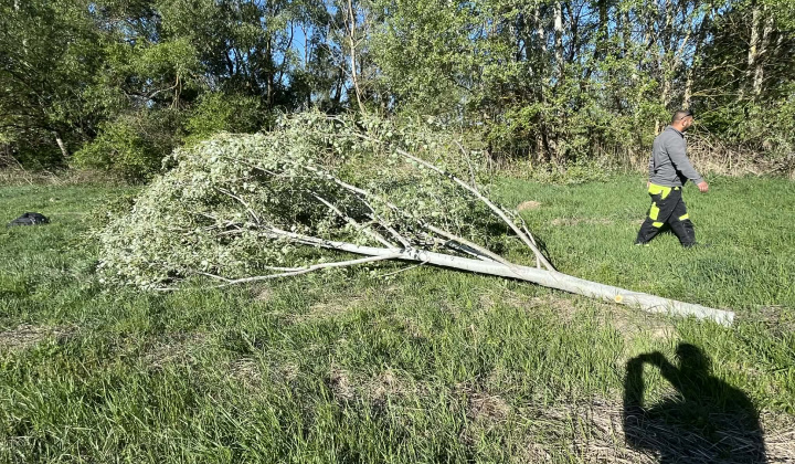 Stavanie Mája 30.4.2026