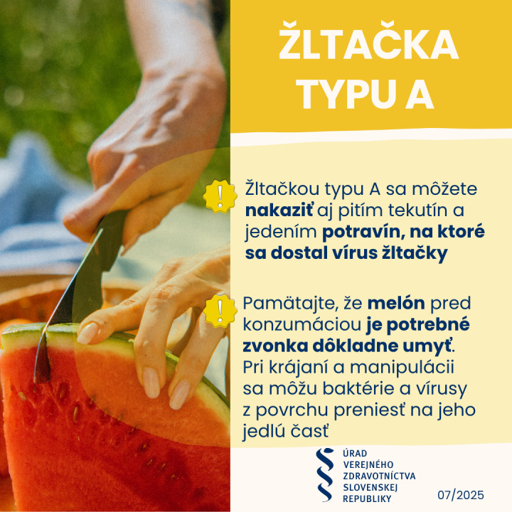 Žltačka - melón